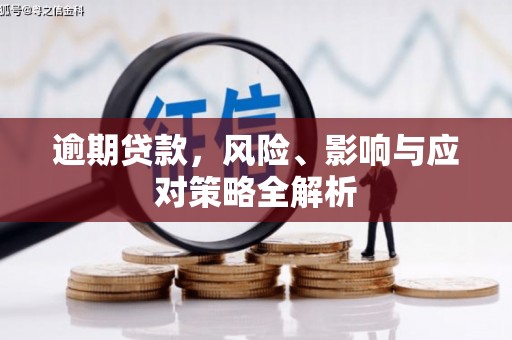 山海关逾期贷款，风险、影响与应对策略全解析