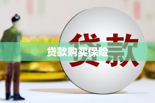 山海关贷款购买保险