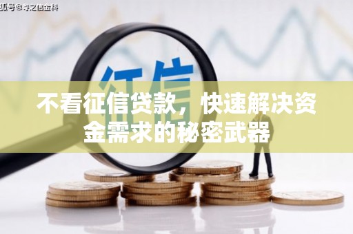 山海关不看征信贷款，快速解决资金需求的秘密武器