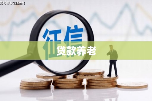 山海关贷款养老