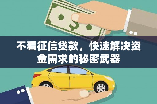 山海关不看征信贷款，快速解决资金需求的秘密武器