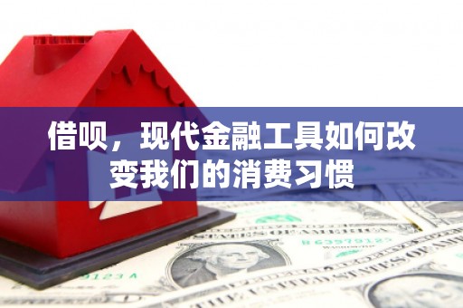 山海关借呗，现代金融工具如何改变我们的消费习惯