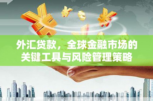 山海关外汇贷款，全球金融市场的关键工具与风险管理策略
