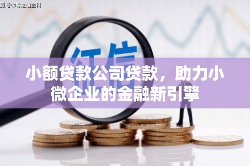 山海关小额贷款公司贷款，助力小微企业的金融新引擎