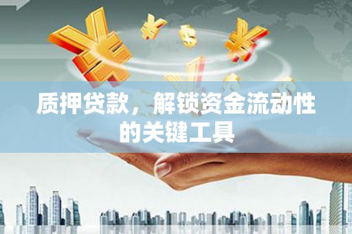 山海关质押贷款，解锁资金流动性的关键工具