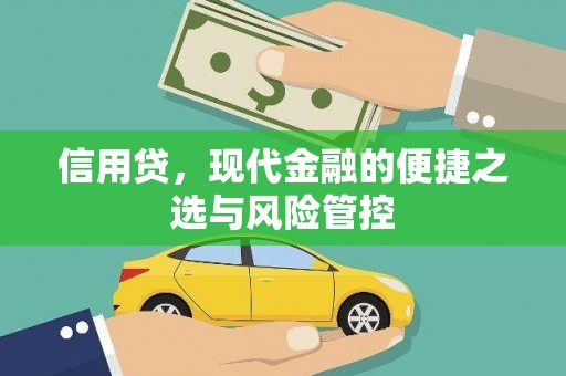 山海关信用贷，现代金融的便捷之选与风险管控