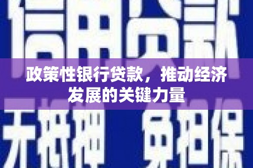 山海关政策性银行贷款，推动经济发展的关键力量