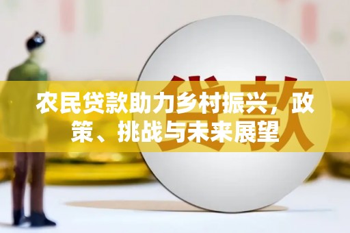 山海关农民贷款助力乡村振兴，政策、挑战与未来展望