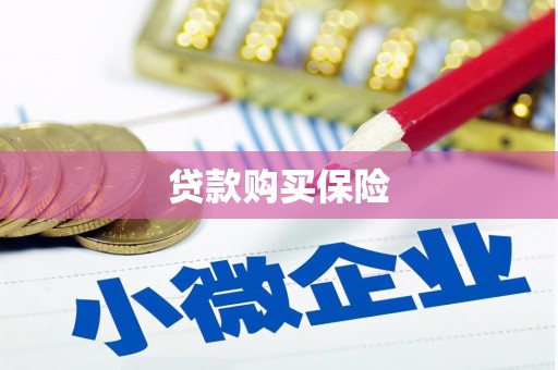 山海关贷款购买保险