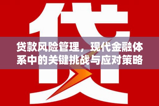 山海关贷款风险管理，现代金融体系中的关键挑战与应对策略
