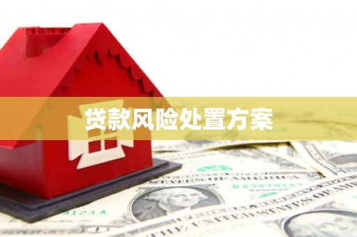 山海关贷款风险处置方案