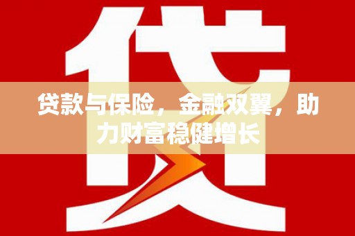 山海关贷款与保险，金融双翼，助力财富稳健增长