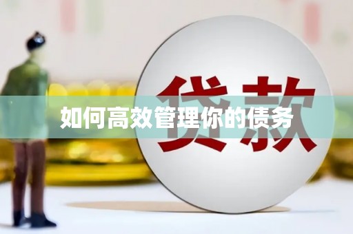 山海关如何高效管理你的债务