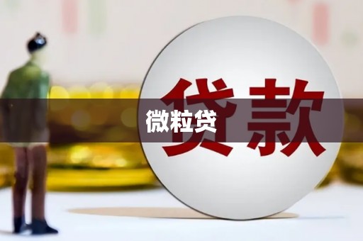 山海关微粒贷