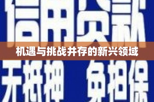 山海关机遇与挑战并存的新兴领域