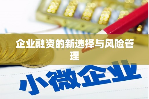 山海关企业融资的新选择与风险管理