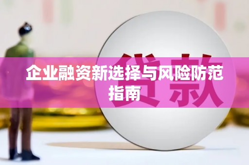 山海关企业融资新选择与风险防范指南
