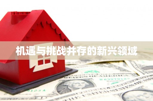 山海关机遇与挑战并存的新兴领域
