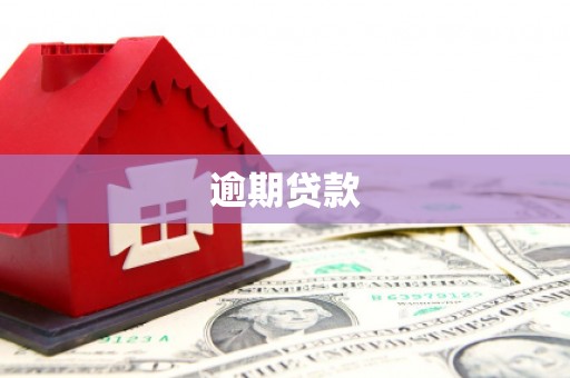 山海关逾期贷款
