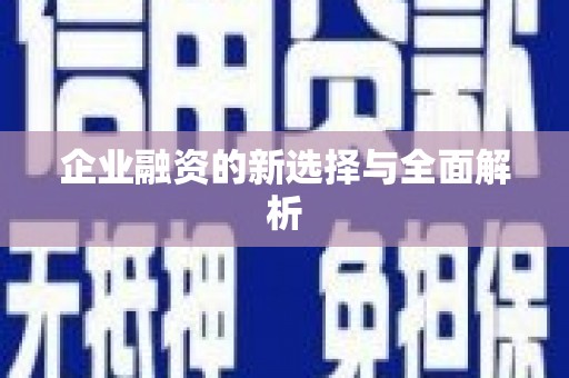 山海关企业融资的新选择与全面解析