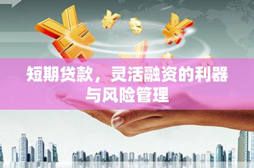 山海关短期贷款，灵活融资的利器与风险管理