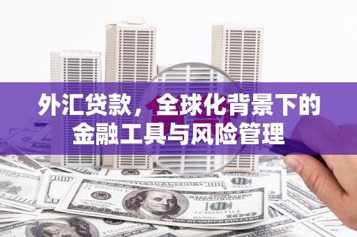 山海关外汇贷款，全球化背景下的金融工具与风险管理