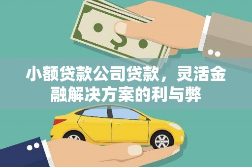 山海关小额贷款公司贷款，灵活金融解决方案的利与弊