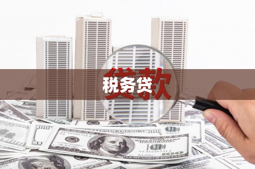 山海关税务贷